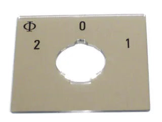RIDGID 57517 - Placa Frontal de Interruptor