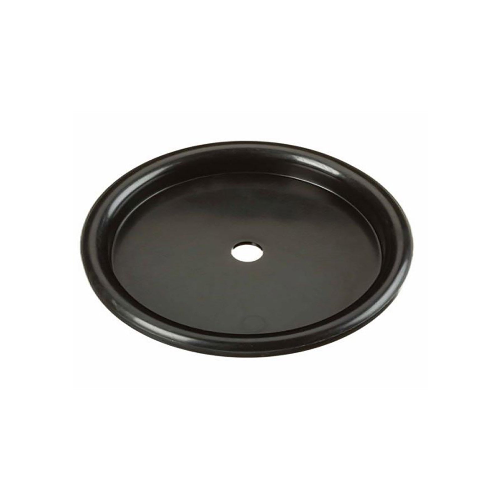 RIDGID - 12303 Placa Filtro